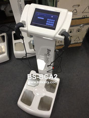 체지방을 위한 터치스크린 몸 조성 분석기/인쇄 기계를 가진 영양 분석