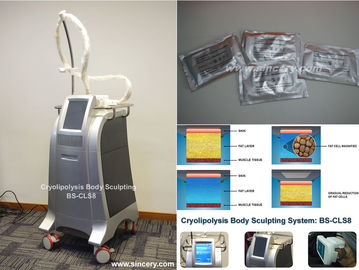 지적인 온도 조종을 가진 Cryolipolysis 뚱뚱한 어는 기계를 형성하는 몸/체중을 줄이기