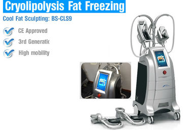 안전 Cryolipolysis 뚱뚱한 손실 기계, 뚱뚱한 어는 몸 윤곽을 그리는 기계
