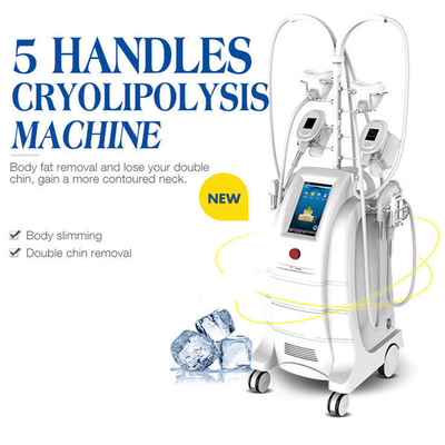 5개의 손잡이 뚱뚱한 감소를 위한 Cryolipolysis 뚱뚱한 냉동 기계 몸 조각 기계