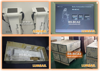 생물 - Impedancemetry 디지털 표시 장치를 가진 전자 정확한 체지방 해석기