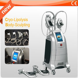 빠른 뚱뚱한 감소를 위한 기계를 체중을 줄이는 4개의 손잡이 Cryolipolysis 체중 감소 장비