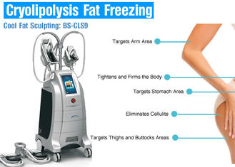 4개의 손잡이 체중 감소/셀룰라이트 감소를 위한 기계를 체중을 줄이는 뚱뚱한 어는 Cryolipolysis 몸