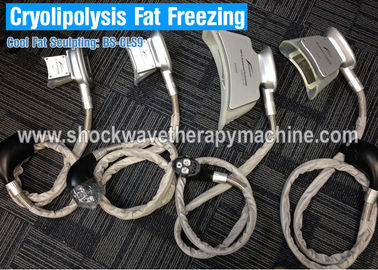 기계를 체중을 줄이는 Cryolipolysis 뚱뚱한 어는 몸 몸 체중을 줄이기를 위한 수술 없음