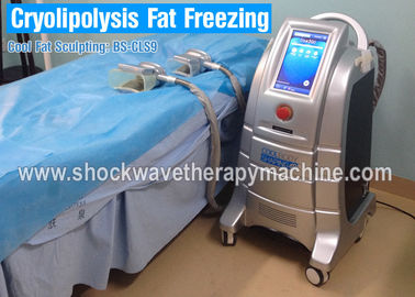 기계를 체중을 줄이는 Cryolipolysis 뚱뚱한 어는 몸 몸 체중을 줄이기를 위한 수술 없음