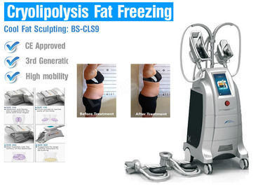 기계 초음파 가동 Systerm를 체중을 줄이는 Cryolipolysis 몸을 냉각하는 뚱뚱한 동결